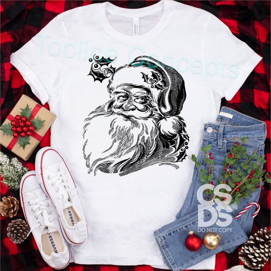 Santa face